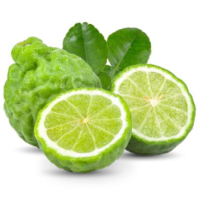Bergamot