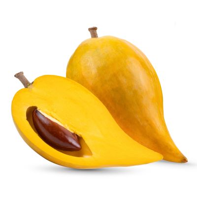 Lucuma