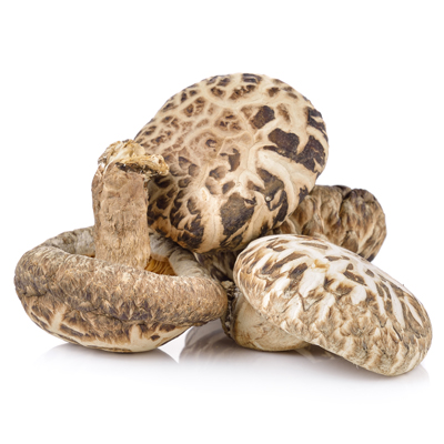 Shiitake