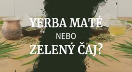 Je zdravější yerba maté nebo zelený čaj?