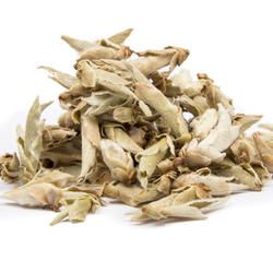 CHINA YUNNAN WILD TEA BUDS - zelený čaj
