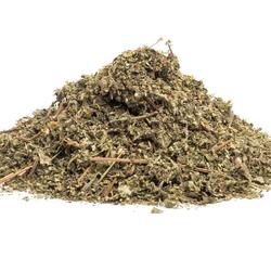 Muňa Muňa (Minthostachys setosa) - bylina