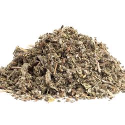 Šalvěj nať (Salvia officinalis) - bylina