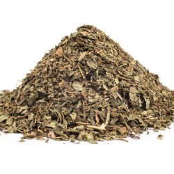 BAZALKA NAŤ+LIST (Ocimum basilicum)