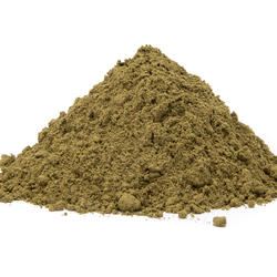 Tulsi (Bazalka posvátná) BIO - prášek