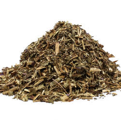 Vrbovka nať (Epilobium parviflorum) - bylina