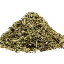 Přeslička nať (Equisetum arvense) - bylina