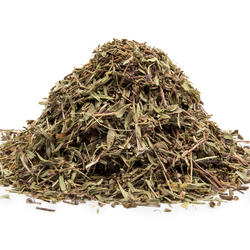 Mateřídouška nať (Thymus serpyllum) - bylina