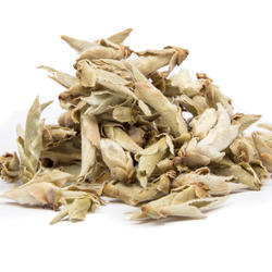 China Yunnan Wild Tea Buds - zelený čaj
