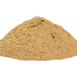 Camu Camu BIO - bylina