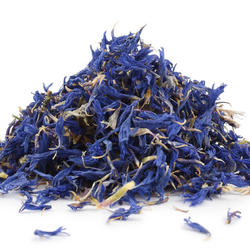 Chrpa květ bez kalichu (Centaurea cyanus) - bylina