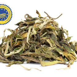 Darjeeling Moonlight Upper Fagu First Flush - černý čaj