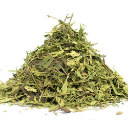 Stévie sladká nať+list (Stevia rebaudiana) - bylina