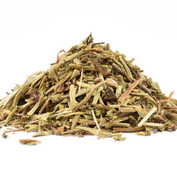 Gotu Kola, Pupečník - bylina