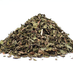 Máta peprná (Mentha piperita)