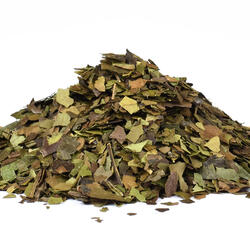 Guayusa (Ilex Guayusa)